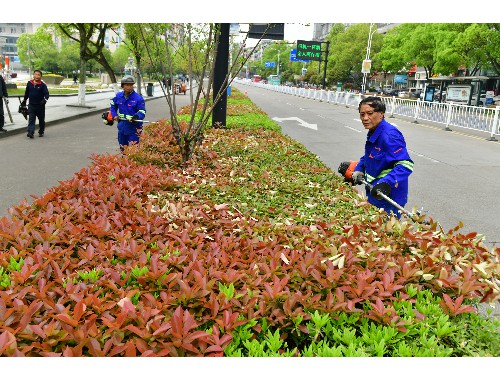 天津城市绿化安全生产