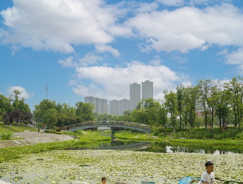 文溪路绿化工程招标