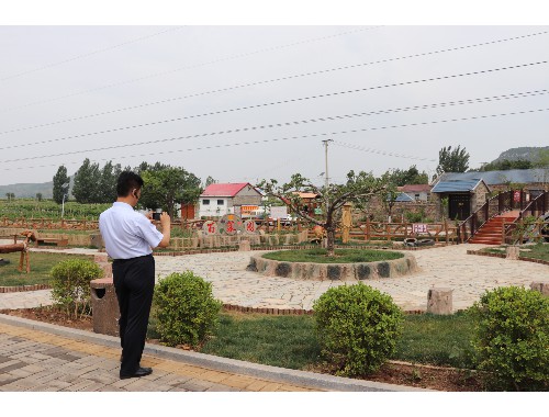 博鱼官方网站：巩义绿化苗木花卉市场在哪里