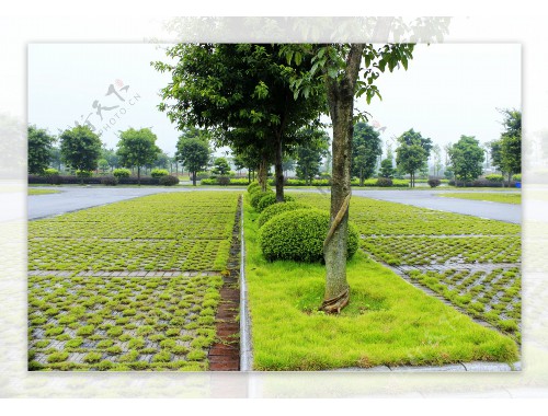 博鱼中国官网：枣庄市城市管理局城市绿化